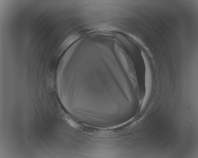 X0000080750889200701122000