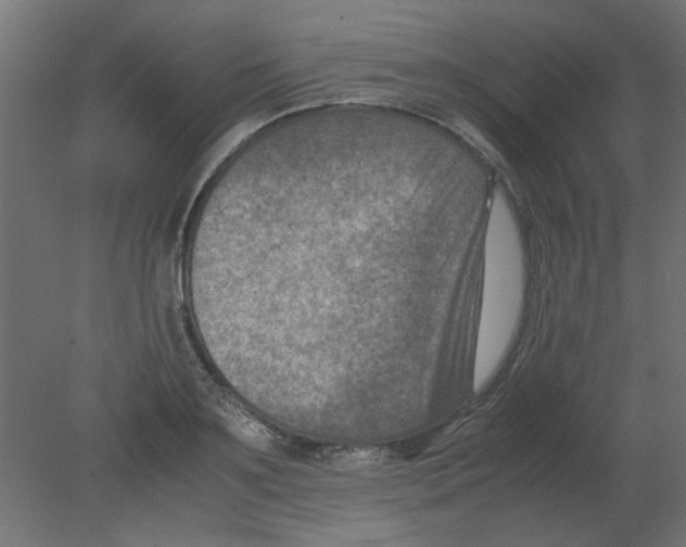 X0000080750891200701122000