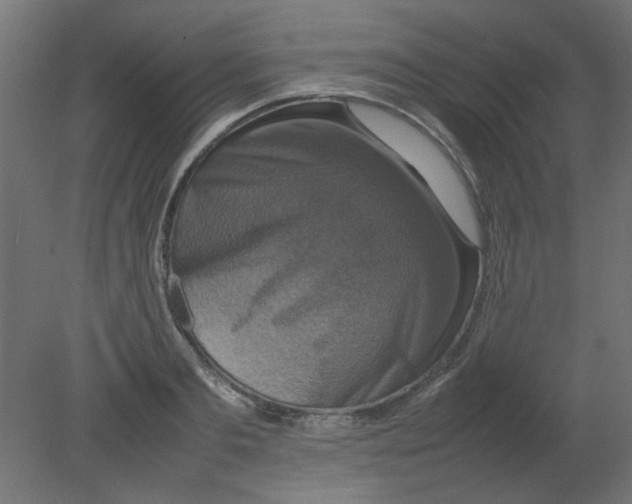 X0000080750893200701122000