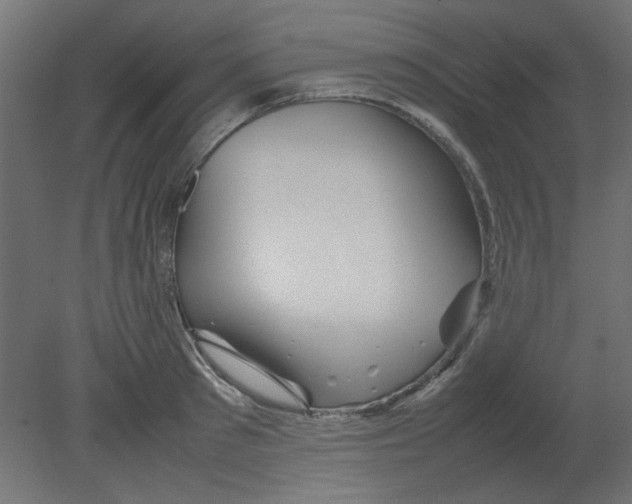 X0000080750897200701122000