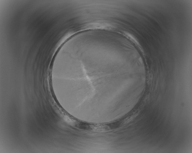 X0000080750899200701122000