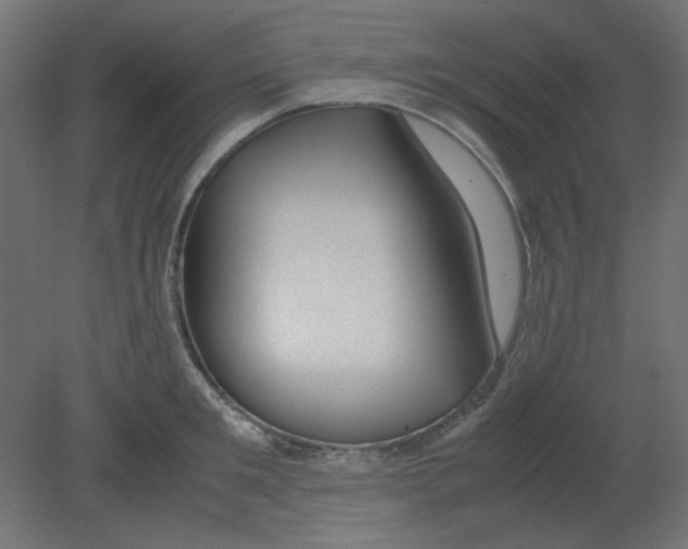 X0000080750901200701122000