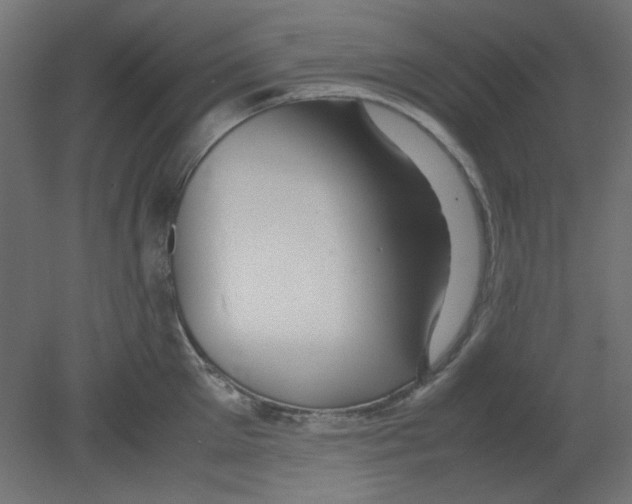 X0000080750905200701122000