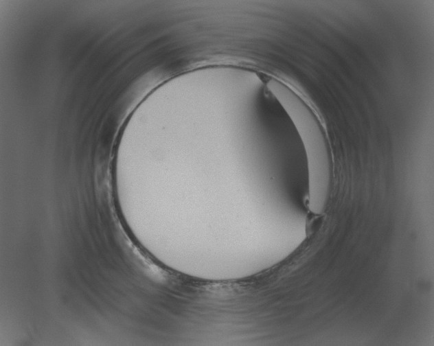X0000080750906200701122000