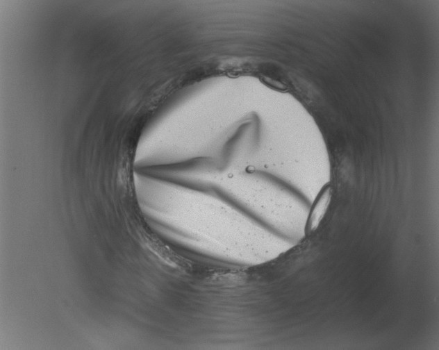 X0000080750914200701121959