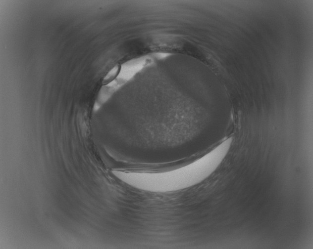 X0000080750915200701121959