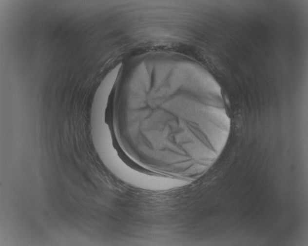 X0000080750916200701121959