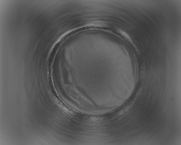 X0000080750923200701121959