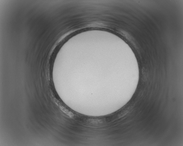 X0000080750931200701121959