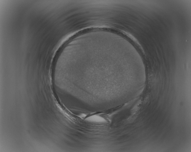 X0000080750935200701121959