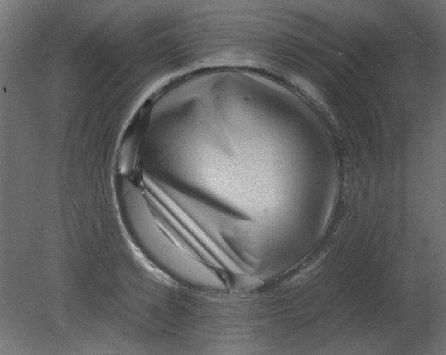 X0000080750942200701121959
