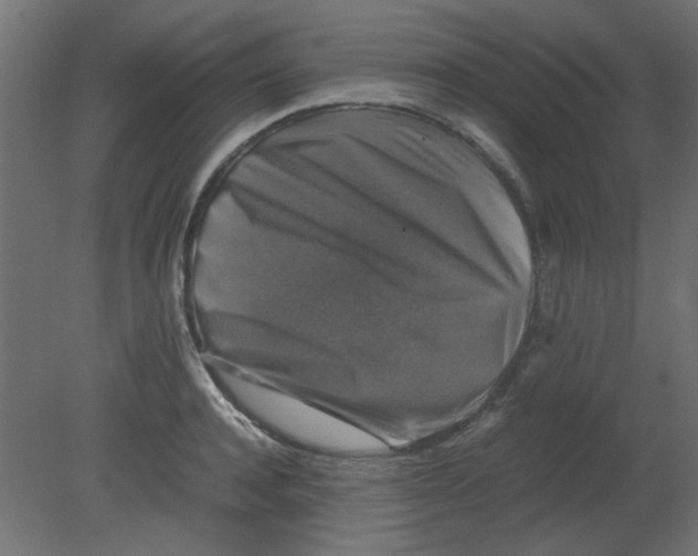 X0000080750944200701121959