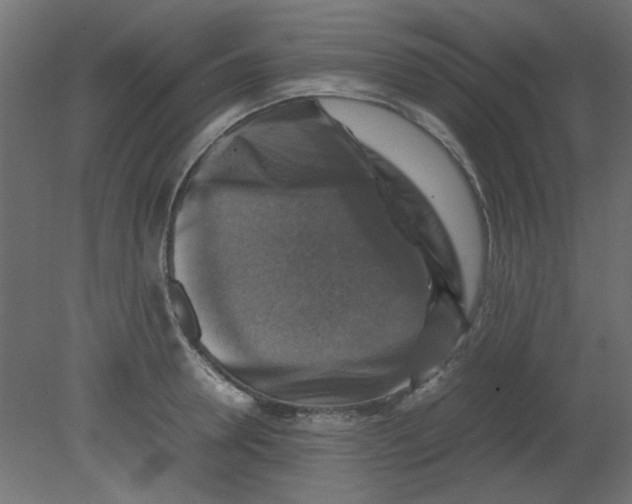 X0000080750946200701121959