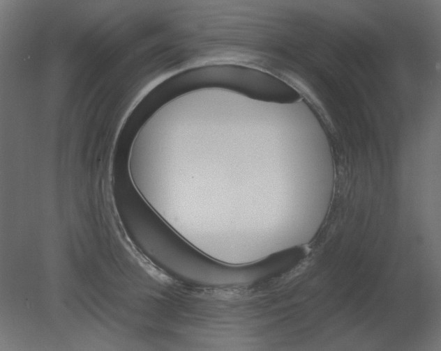 X0000080750948200701121959