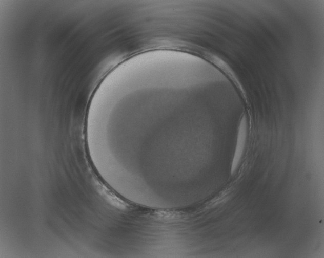 X0000080750954200701121959