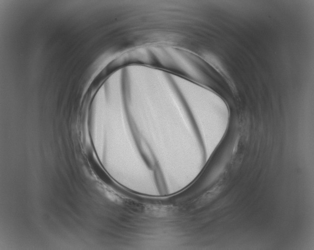 X0000080750956200701122000