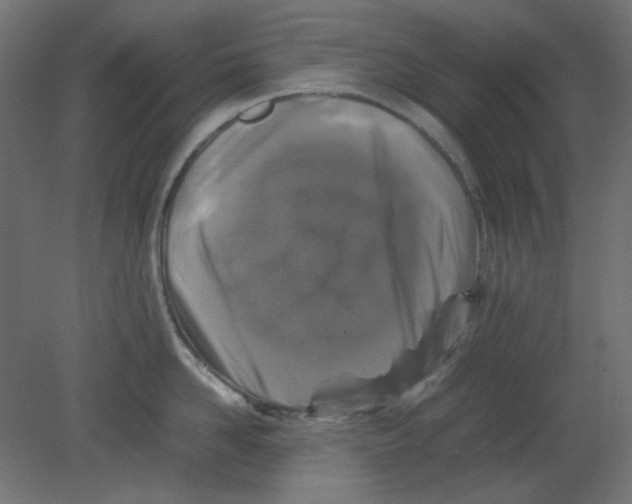 X0000080750958200701122000