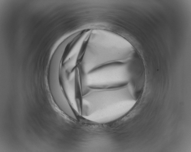 X0000080750960200701122000