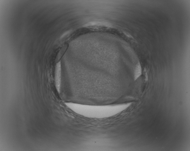 X0000080750965200701121959