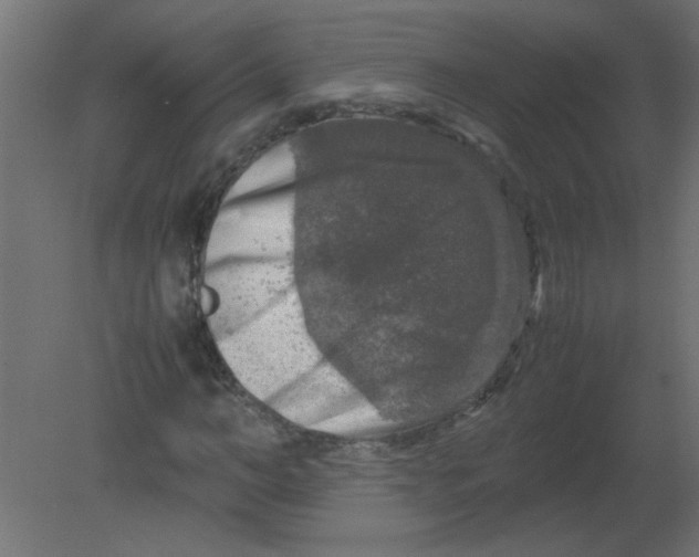 X0000080750966200701121959