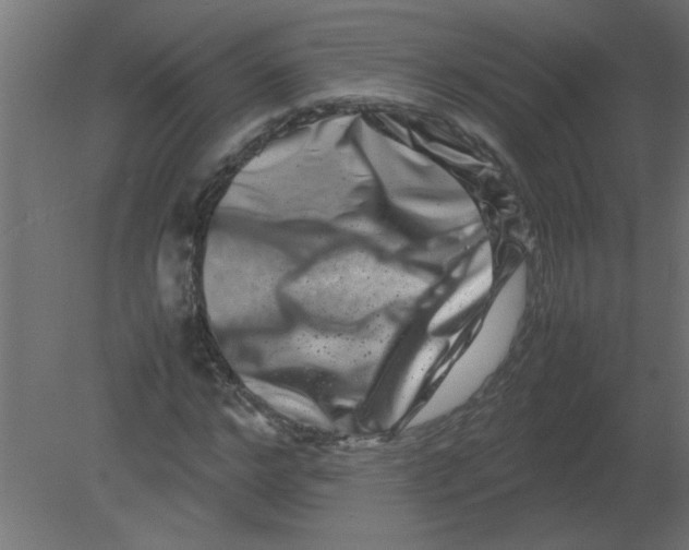 X0000080750968200701121959