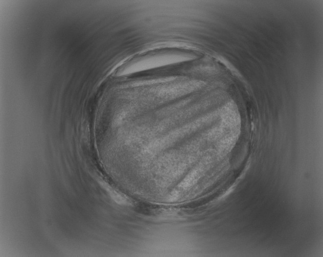 X0000080750969200701121959