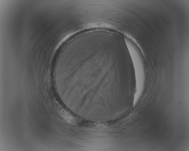 X0000080750975200701121959