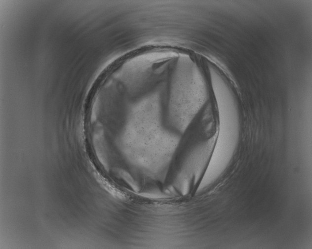 X0000080750976200701121959