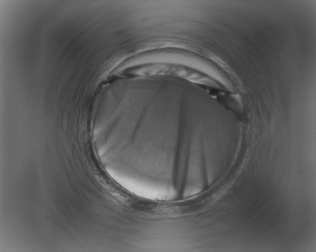 X0000080750977200701121959