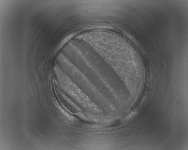 X0000080750985200701121958