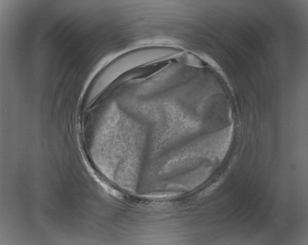 X0000080750989200701121958