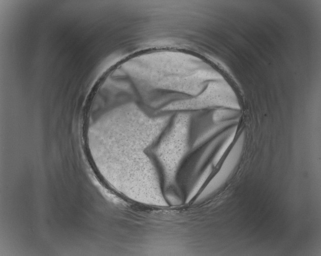 X0000080750991200701121958
