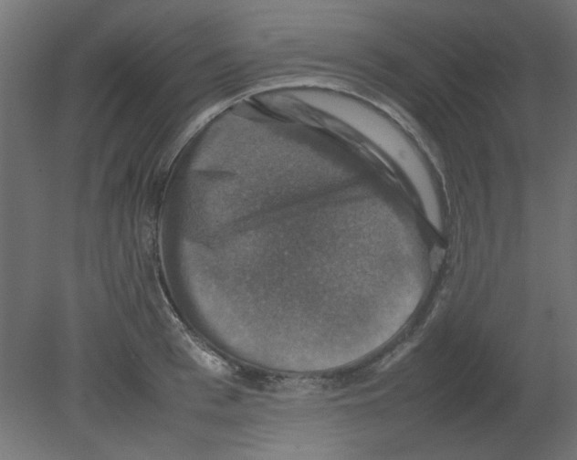X0000080750993200701121958
