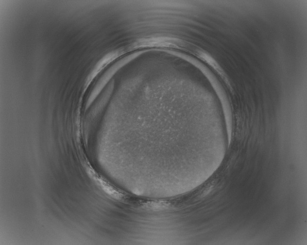 X0000080750994200701121958