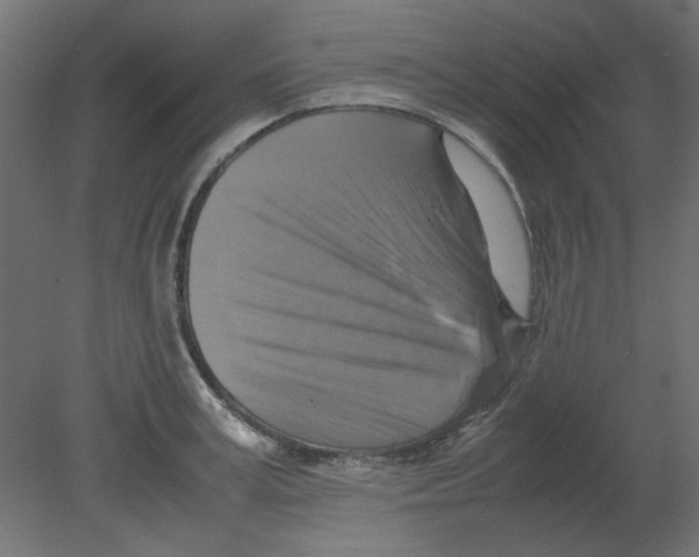 X0000080750995200701121958