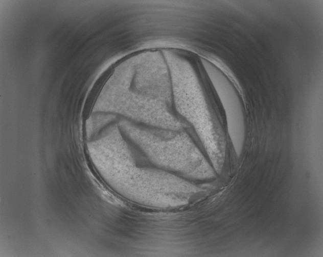 X0000080750996200701121958