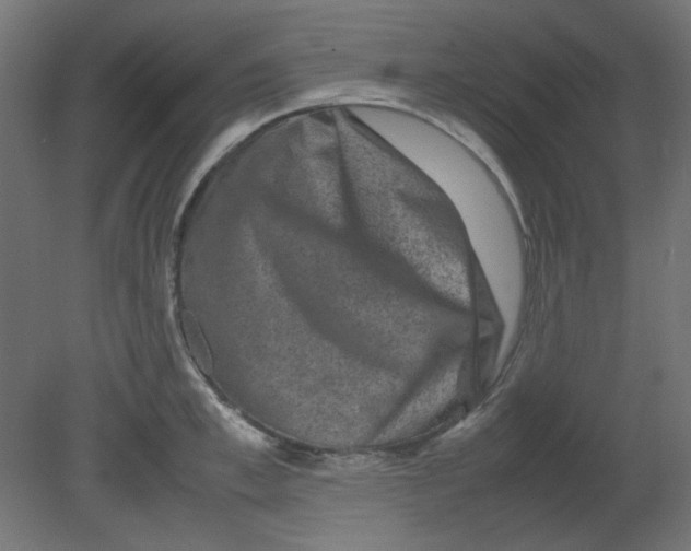 X0000080750997200701121958