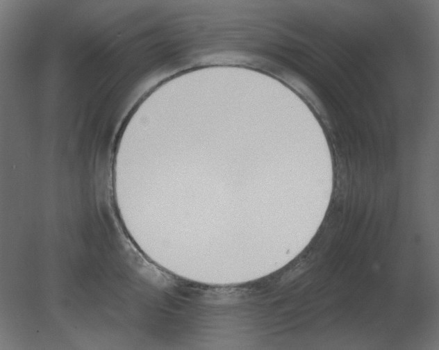 X0000080751000200701121958