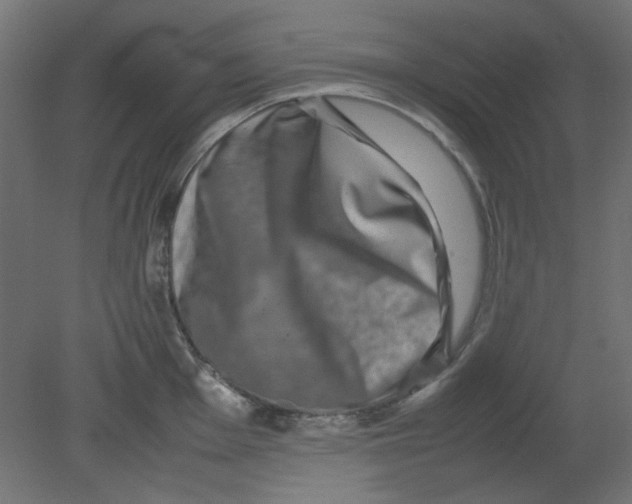 X0000080751001200701121958