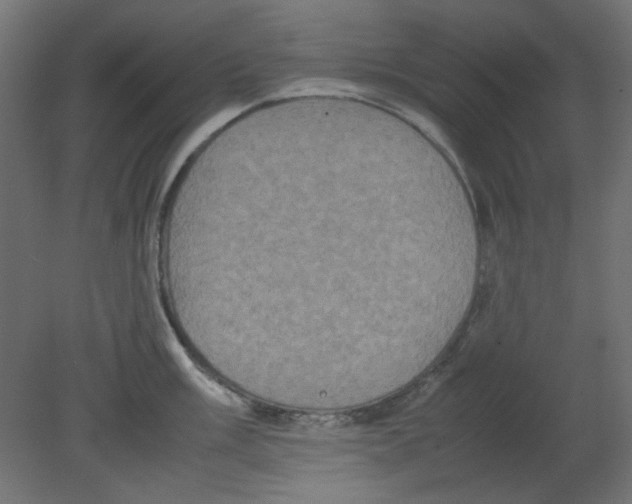 X0000080751003200701121958