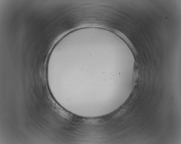 X0000080751004200701121958