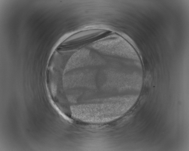 X0000080751005200701121958