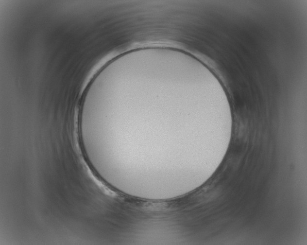 X0000080751006200701121958