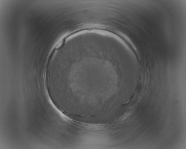 X0000080751007200701121958