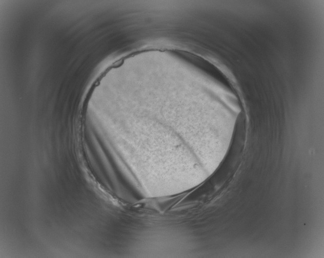 X0000080751008200701121958
