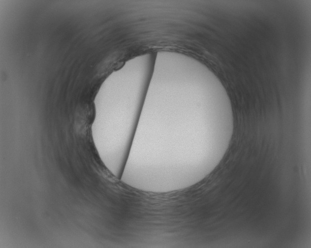 X0000080751012200701121957