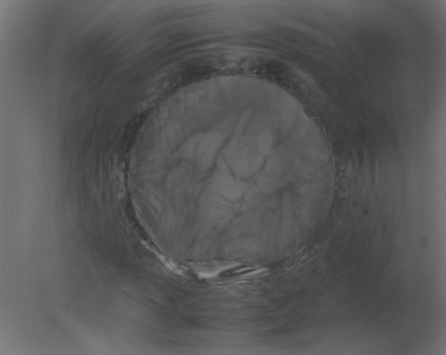 X0000080751013200701121957