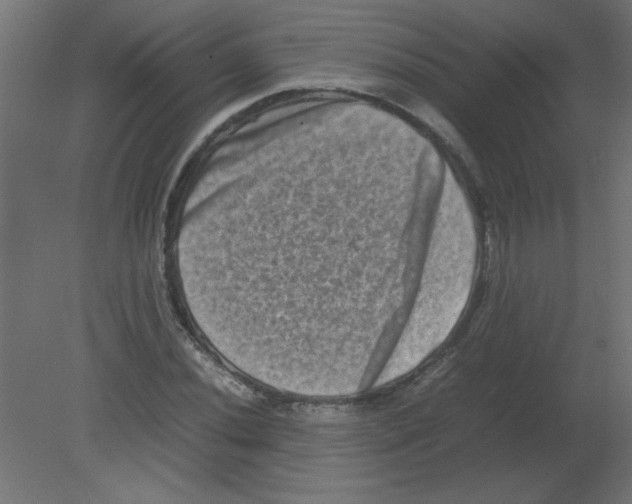 X0000080751020200701121957