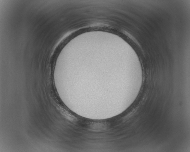 X0000080751021200701121957