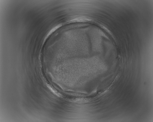 X0000080751026200701121957
